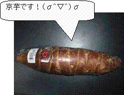 �p�ێl�p�`�����o��: �����ł��I�i�ЁO���O�j�Ё@